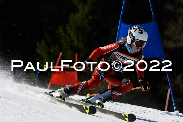7. Ziener Cup WF + WFM, 05.03.2022