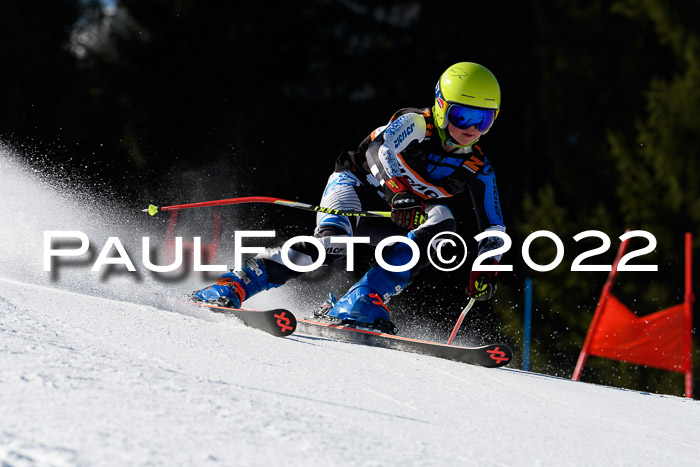 7. Ziener Cup WF + WFM, 05.03.2022
