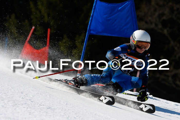 7. Ziener Cup WF + WFM, 05.03.2022