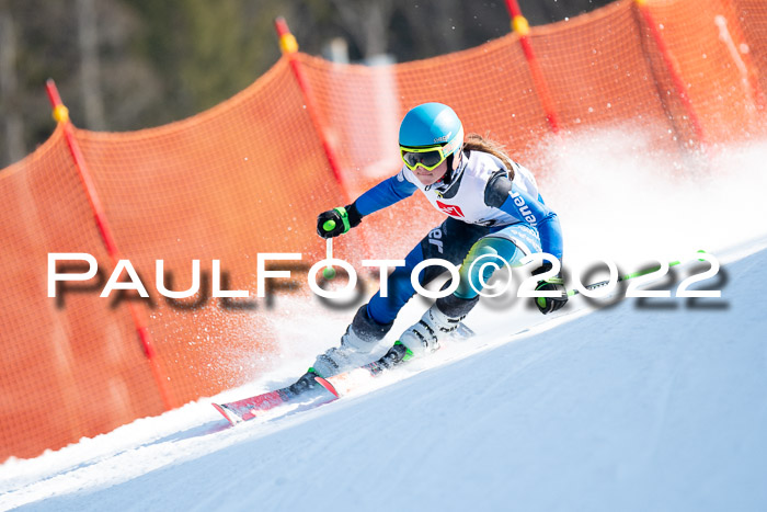 9. BZB CUP RSX + Werdenfelser Meisteraschaft  12.03.2022