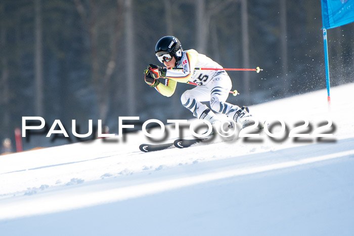9. BZB CUP RSX + Werdenfelser Meisteraschaft  12.03.2022