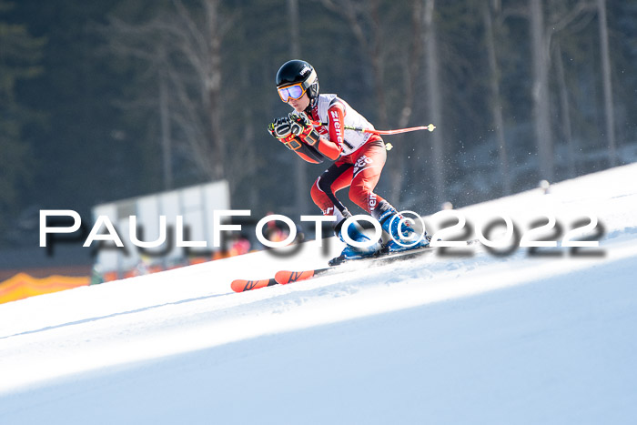 9. BZB CUP RSX + Werdenfelser Meisteraschaft  12.03.2022
