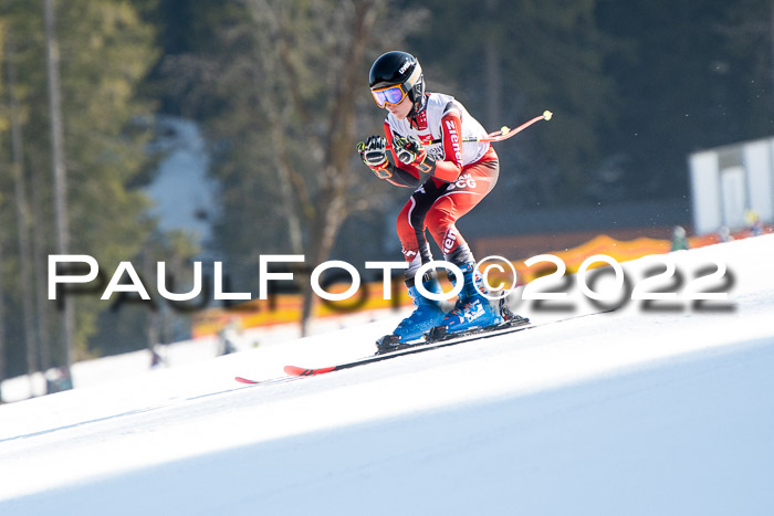 9. BZB CUP RSX + Werdenfelser Meisteraschaft  12.03.2022
