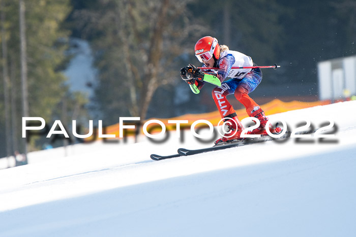 9. BZB CUP RSX + Werdenfelser Meisteraschaft  12.03.2022