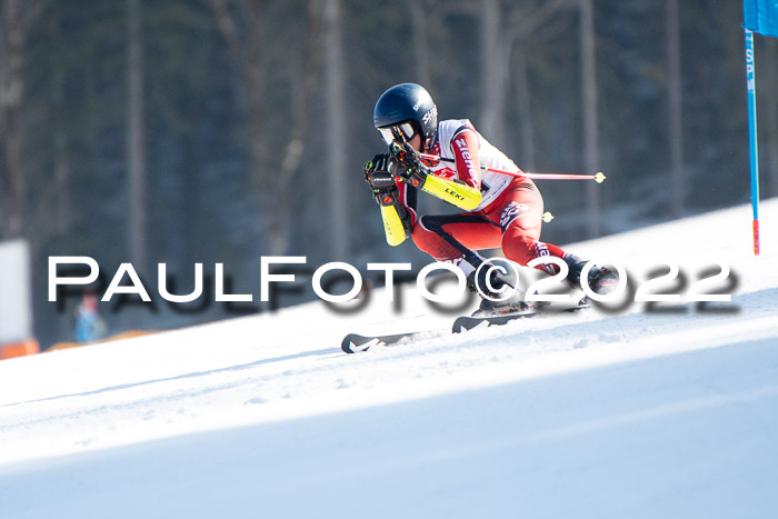 9. BZB CUP RSX + Werdenfelser Meisteraschaft  12.03.2022