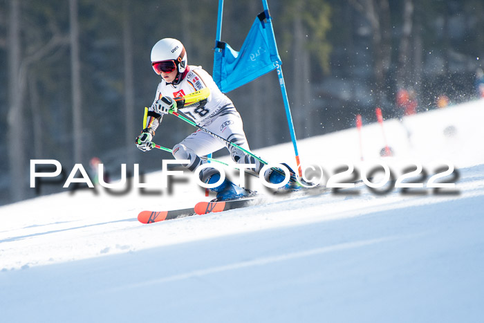 9. BZB CUP RSX + Werdenfelser Meisteraschaft  12.03.2022