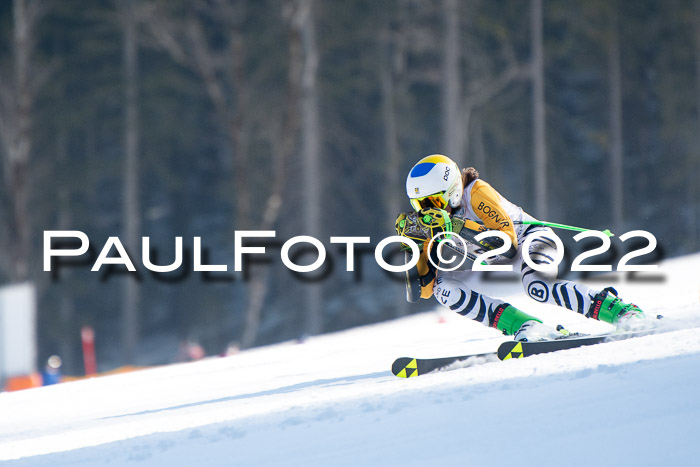 9. BZB CUP RSX + Werdenfelser Meisteraschaft  12.03.2022