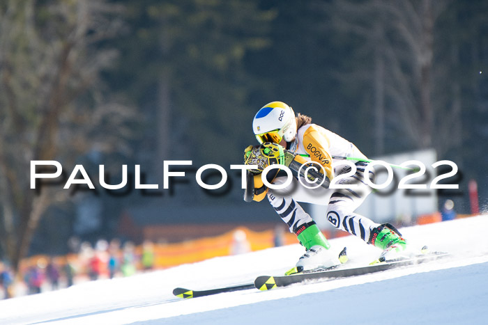 9. BZB CUP RSX + Werdenfelser Meisteraschaft  12.03.2022