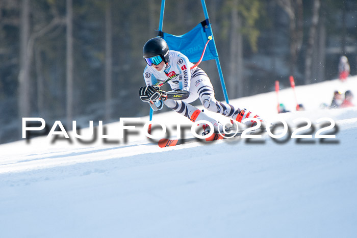 9. BZB CUP RSX + Werdenfelser Meisteraschaft  12.03.2022