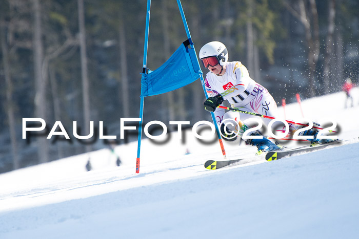 9. BZB CUP RSX + Werdenfelser Meisteraschaft  12.03.2022