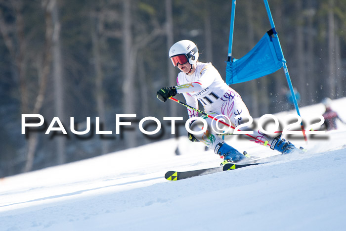9. BZB CUP RSX + Werdenfelser Meisteraschaft  12.03.2022