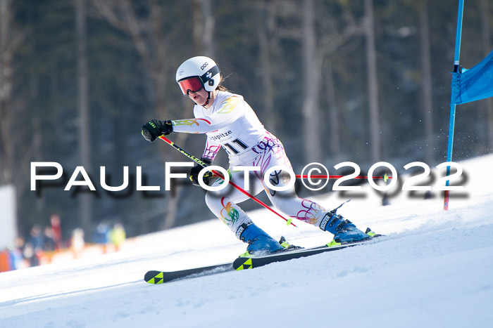 9. BZB CUP RSX + Werdenfelser Meisteraschaft  12.03.2022