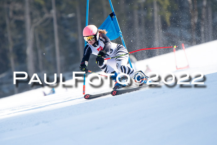 9. BZB CUP RSX + Werdenfelser Meisteraschaft  12.03.2022