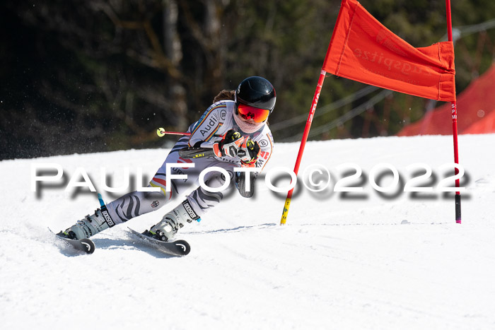 9. BZB CUP RSX + Werdenfelser Meisteraschaft  12.03.2022