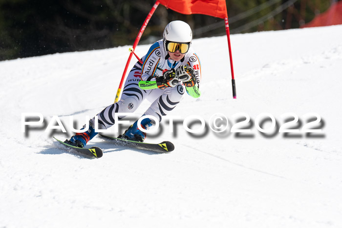 9. BZB CUP RSX + Werdenfelser Meisteraschaft  12.03.2022