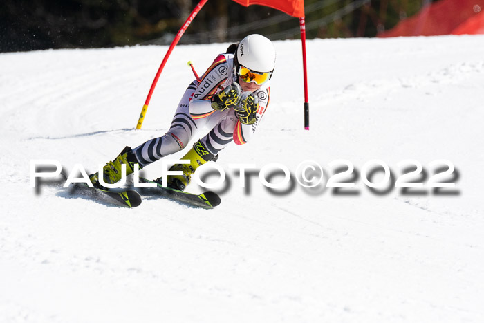9. BZB CUP RSX + Werdenfelser Meisteraschaft  12.03.2022