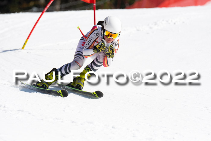 9. BZB CUP RSX + Werdenfelser Meisteraschaft  12.03.2022