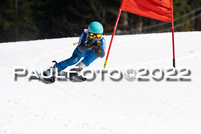 9. BZB CUP RSX + Werdenfelser Meisteraschaft  12.03.2022