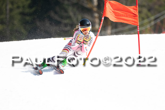 9. BZB CUP RSX + Werdenfelser Meisteraschaft  12.03.2022