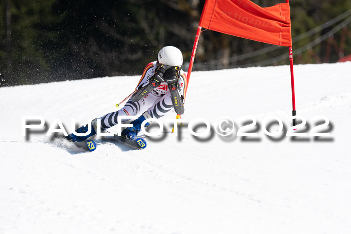 9. BZB CUP RSX + Werdenfelser Meisteraschaft  12.03.2022