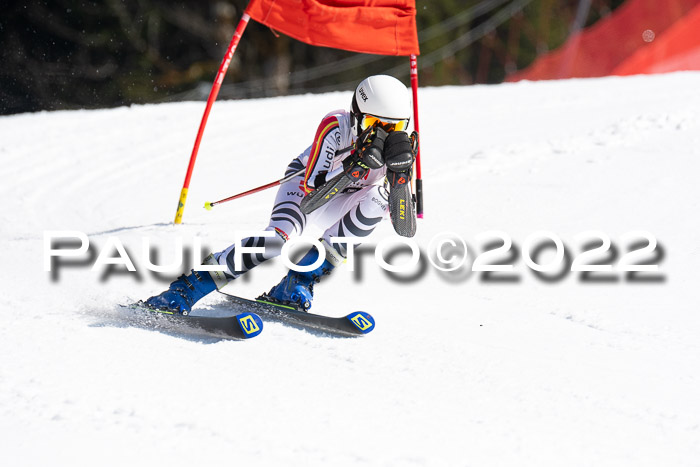 9. BZB CUP RSX + Werdenfelser Meisteraschaft  12.03.2022
