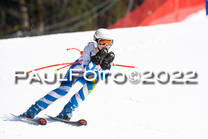 9. BZB CUP RSX + Werdenfelser Meisteraschaft  12.03.2022