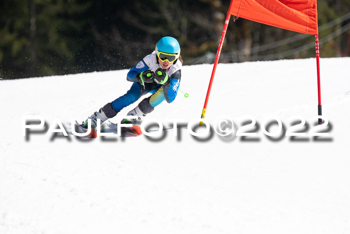 9. BZB CUP RSX + Werdenfelser Meisteraschaft  12.03.2022