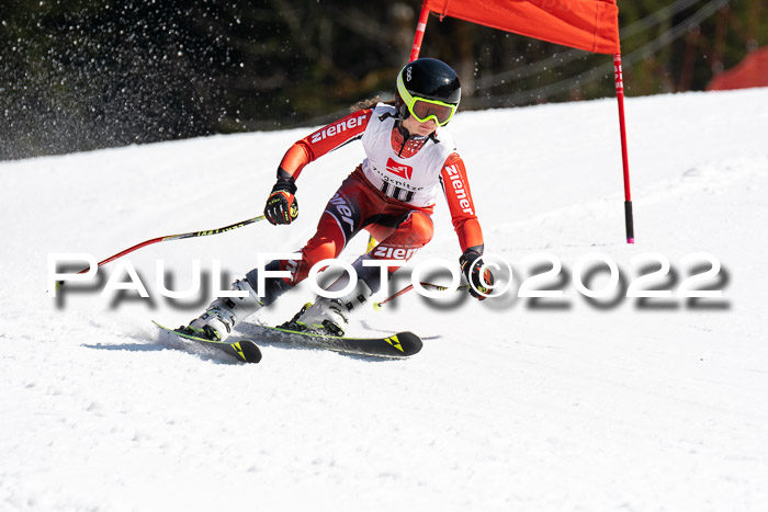 9. BZB CUP RSX + Werdenfelser Meisteraschaft  12.03.2022