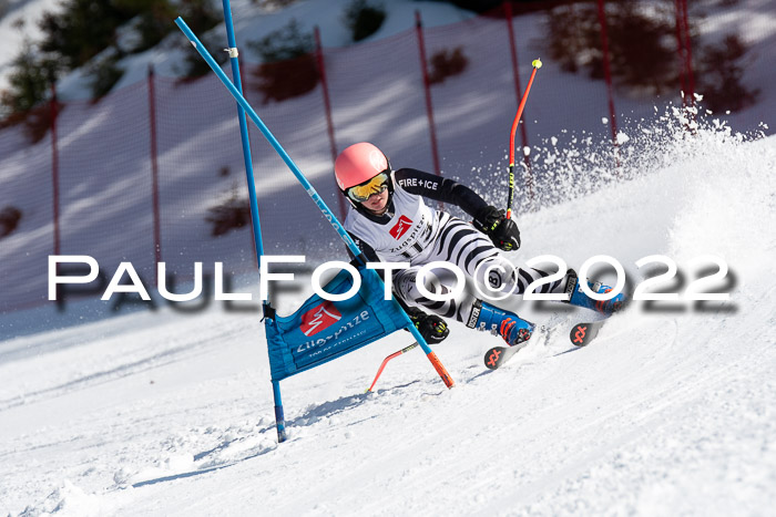 9. BZB CUP RSX + Werdenfelser Meisteraschaft  12.03.2022