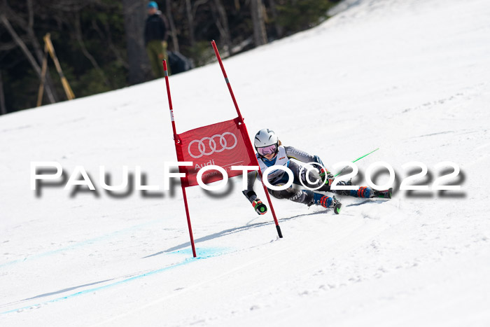 DSV Schülercup III U14 RS 18.03.2022