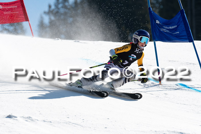 22. SVM Regionalcup-Finale 2022, Kinder, Schüler, Jugend, Erwachsene 20.03.2022
