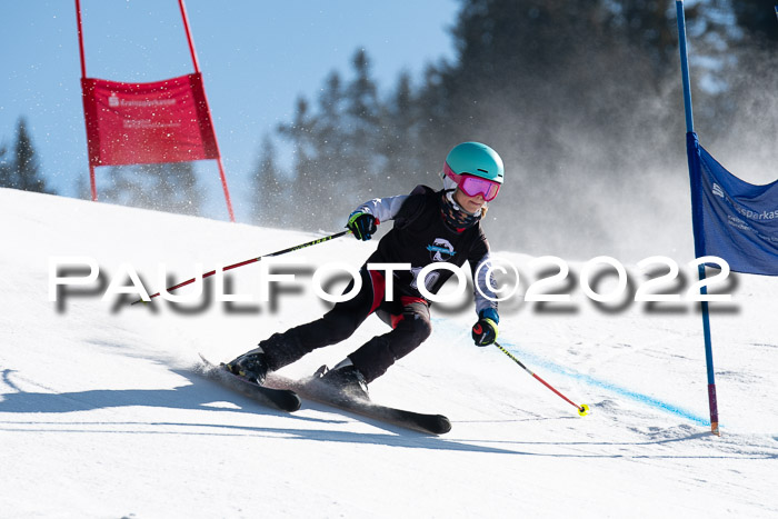 22. SVM Regionalcup-Finale 2022, Kinder, Schüler, Jugend, Erwachsene 20.03.2022