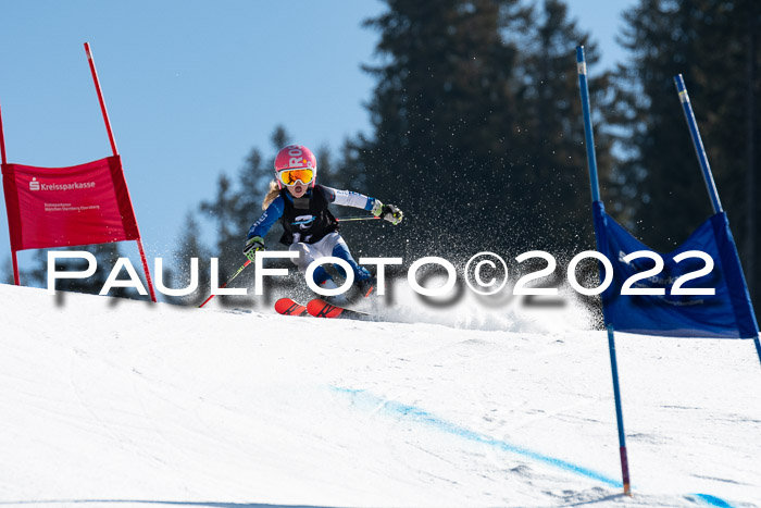 22. SVM Regionalcup-Finale 2022, Kinder, Schüler, Jugend, Erwachsene 20.03.2022
