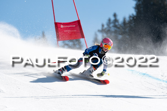 22. SVM Regionalcup-Finale 2022, Kinder, Schüler, Jugend, Erwachsene 20.03.2022