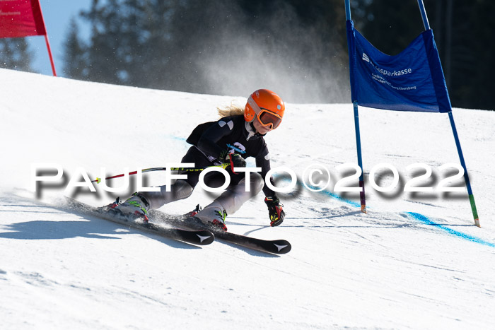 22. SVM Regionalcup-Finale 2022, Kinder, Schüler, Jugend, Erwachsene 20.03.2022