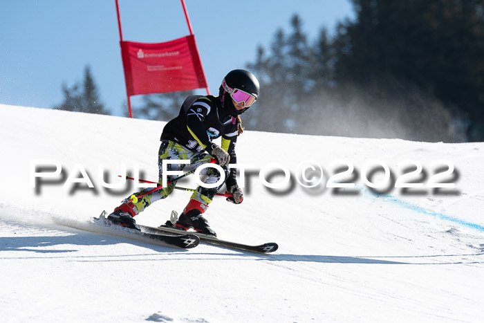 22. SVM Regionalcup-Finale 2022, Kinder, Schüler, Jugend, Erwachsene 20.03.2022