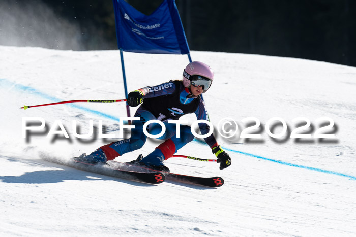 22. SVM Regionalcup-Finale 2022, Kinder, Schüler, Jugend, Erwachsene 20.03.2022