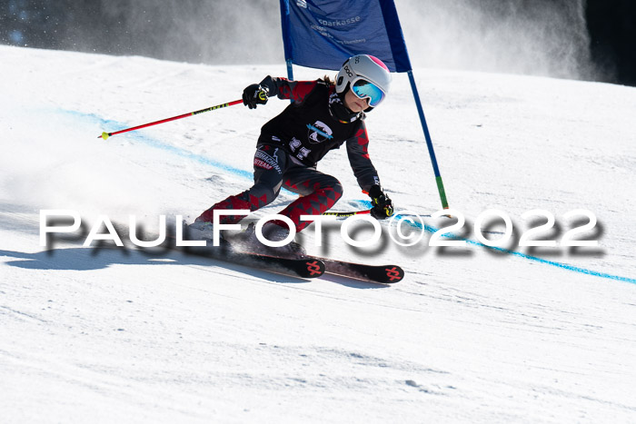 22. SVM Regionalcup-Finale 2022, Kinder, Schüler, Jugend, Erwachsene 20.03.2022