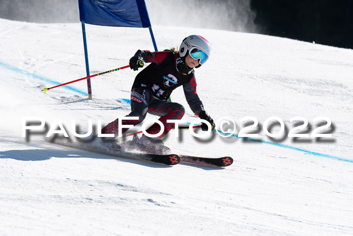 22. SVM Regionalcup-Finale 2022, Kinder, Schüler, Jugend, Erwachsene 20.03.2022