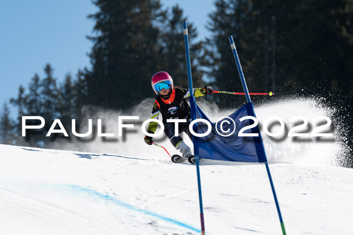 22. SVM Regionalcup-Finale 2022, Kinder, Schüler, Jugend, Erwachsene 20.03.2022