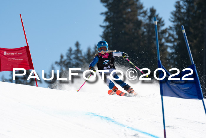 22. SVM Regionalcup-Finale 2022, Kinder, Schüler, Jugend, Erwachsene 20.03.2022