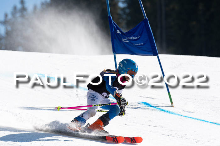 22. SVM Regionalcup-Finale 2022, Kinder, Schüler, Jugend, Erwachsene 20.03.2022