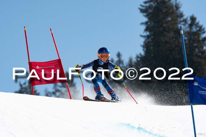 22. SVM Regionalcup-Finale 2022, Kinder, Schüler, Jugend, Erwachsene 20.03.2022