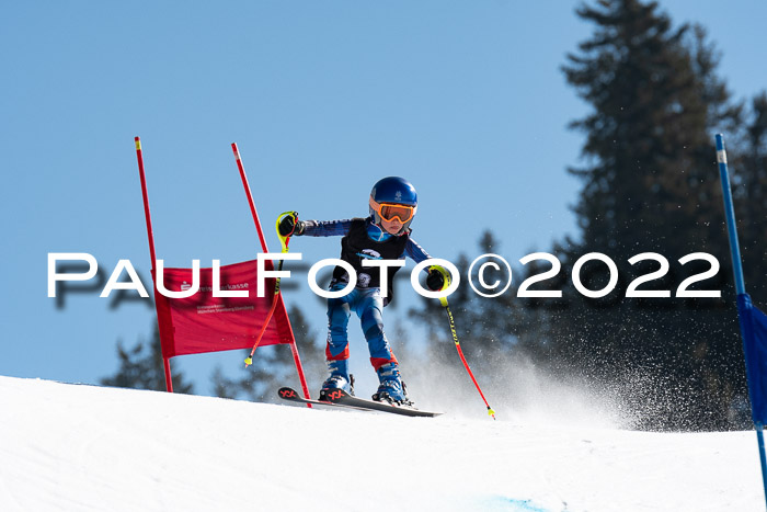 22. SVM Regionalcup-Finale 2022, Kinder, Schüler, Jugend, Erwachsene 20.03.2022