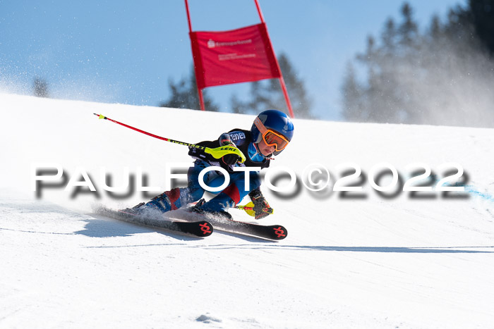 22. SVM Regionalcup-Finale 2022, Kinder, Schüler, Jugend, Erwachsene 20.03.2022