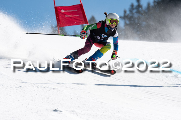 22. SVM Regionalcup-Finale 2022, Kinder, Schüler, Jugend, Erwachsene 20.03.2022