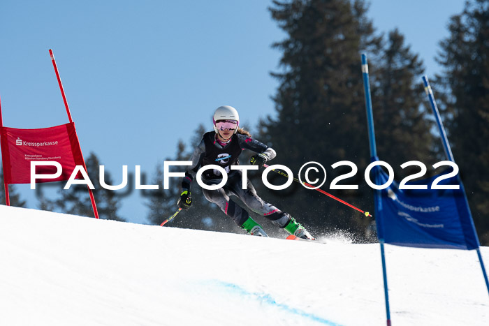22. SVM Regionalcup-Finale 2022, Kinder, Schüler, Jugend, Erwachsene 20.03.2022