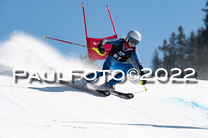 22. SVM Regionalcup-Finale 2022, Kinder, Schüler, Jugend, Erwachsene 20.03.2022