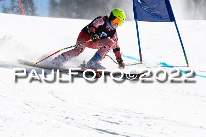 22. SVM Regionalcup-Finale 2022, Kinder, Schüler, Jugend, Erwachsene 20.03.2022