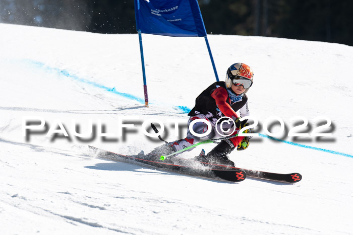 22. SVM Regionalcup-Finale 2022, Kinder, Schüler, Jugend, Erwachsene 20.03.2022